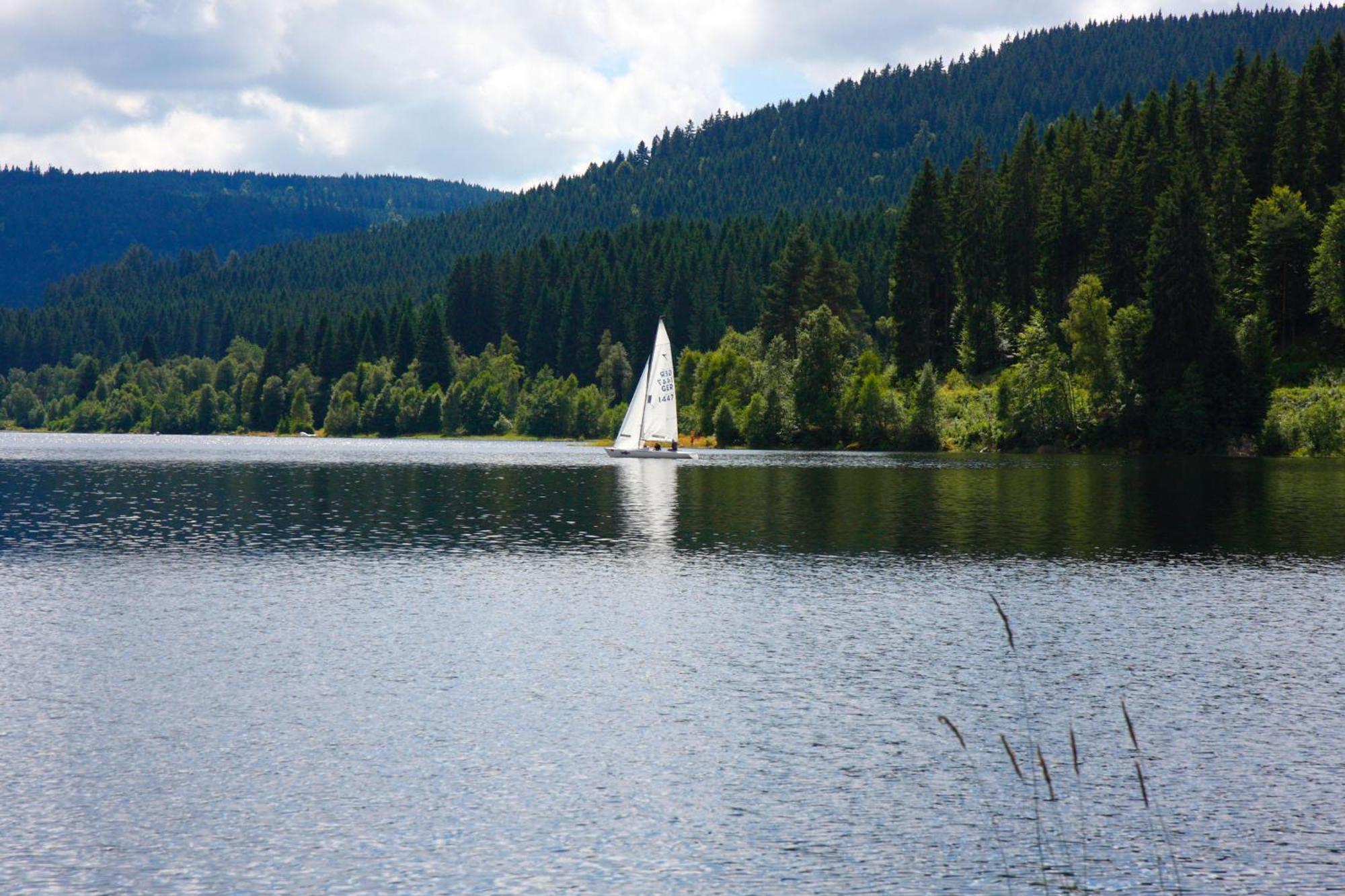 Parkhotel Waldlust Häusern Extérieur photo